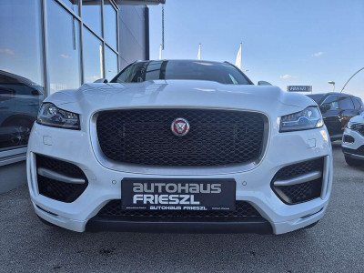 Jaguar F-Pace Gebrauchtwagen