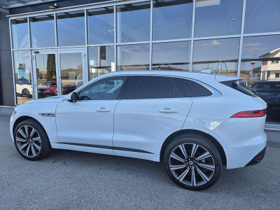Jaguar F-Pace Gebrauchtwagen