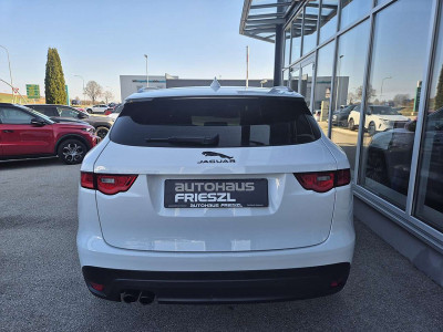 Jaguar F-Pace Gebrauchtwagen