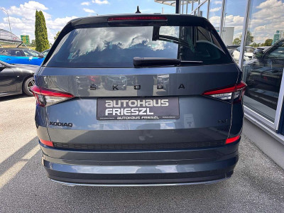 Skoda Kodiaq Gebrauchtwagen Skoda Kodiaq Gebrauchtwagen