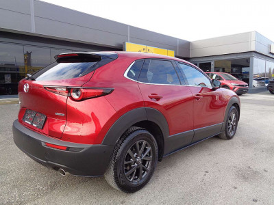 Mazda CX-30 Gebrauchtwagen