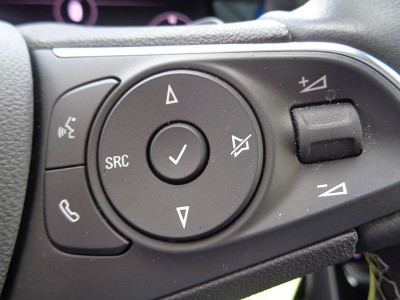 Opel Grandland Gebrauchtwagen