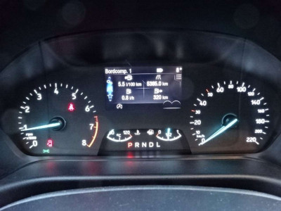 Ford Fiesta Gebrauchtwagen