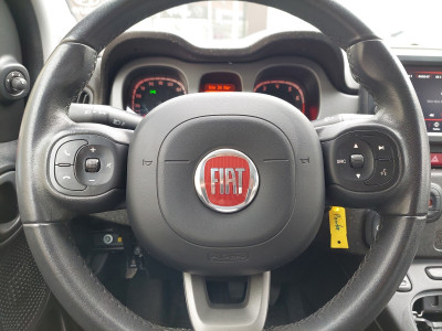 Fiat Panda Gebrauchtwagen