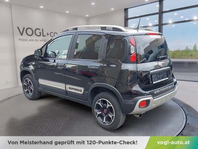 Fiat Panda Gebrauchtwagen