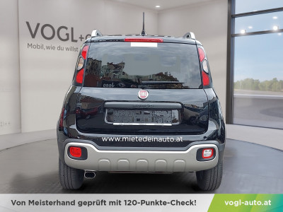 Fiat Panda Gebrauchtwagen