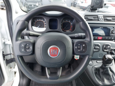 Fiat Panda Gebrauchtwagen