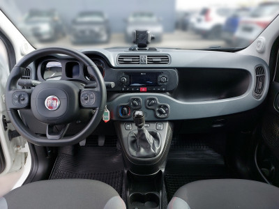 Fiat Panda Gebrauchtwagen