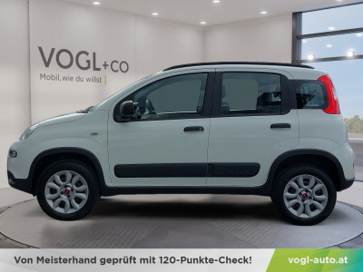 Fiat Panda Gebrauchtwagen