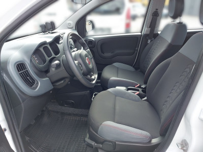 Fiat Panda Gebrauchtwagen
