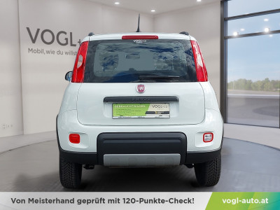 Fiat Panda Gebrauchtwagen