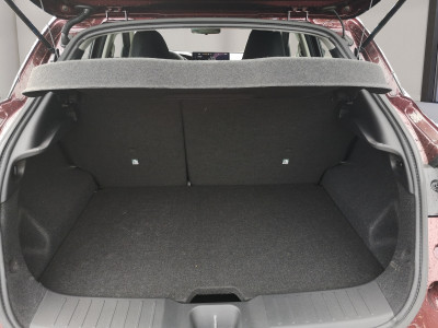 Nissan Juke Vorführwagen