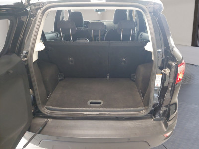 Ford EcoSport Gebrauchtwagen