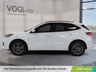 Ford Kuga Gebrauchtwagen Ford Kuga Gebrauchtwagen