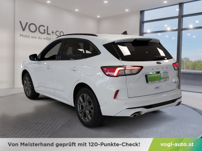 Ford Kuga Gebrauchtwagen Ford Kuga Gebrauchtwagen