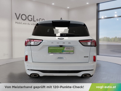 Ford Kuga Gebrauchtwagen Ford Kuga Gebrauchtwagen