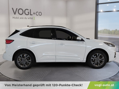 Ford Kuga Gebrauchtwagen