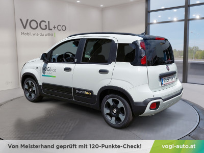 Fiat Pandina Vorführwagen Fiat Pandina Vorführwagen