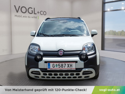 Fiat Pandina Vorführwagen Fiat Pandina Vorführwagen