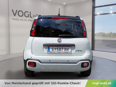 Fiat Pandina Vorführwagen Fiat Pandina Vorführwagen