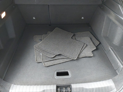 Renault Arkana Gebrauchtwagen Renault Arkana Gebrauchtwagen