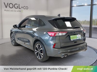 Ford Kuga Gebrauchtwagen Ford Kuga Gebrauchtwagen