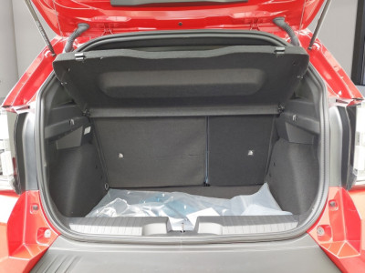 Fiat Grande Panda Vorführwagen