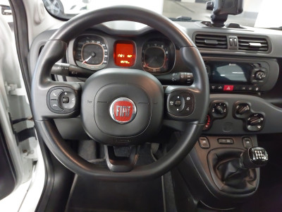 Fiat Panda Gebrauchtwagen
