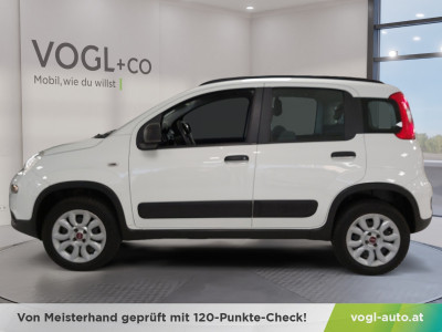 Fiat Panda Gebrauchtwagen