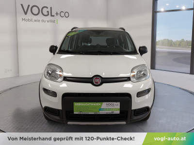 Fiat Panda Gebrauchtwagen