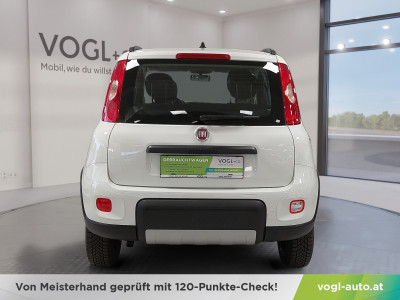Fiat Panda Gebrauchtwagen