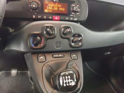 Fiat Panda Gebrauchtwagen