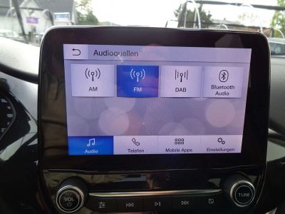 Ford Puma Gebrauchtwagen