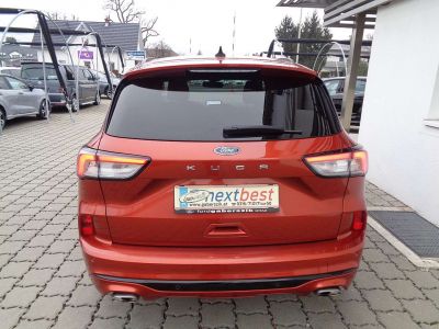 Ford Kuga Gebrauchtwagen