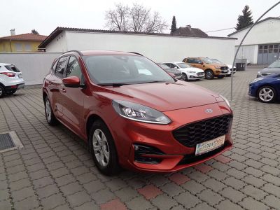 Ford Kuga Gebrauchtwagen
