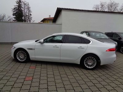 Jaguar XF Gebrauchtwagen Jaguar XF Gebrauchtwagen