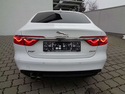 Jaguar XF Gebrauchtwagen Jaguar XF Gebrauchtwagen