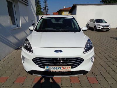 Ford Kuga Gebrauchtwagen