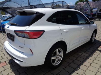 Ford Kuga Gebrauchtwagen