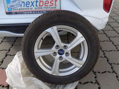 Ford Puma Gebrauchtwagen