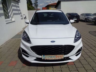 Ford Kuga Gebrauchtwagen