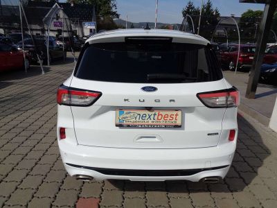 Ford Kuga Gebrauchtwagen