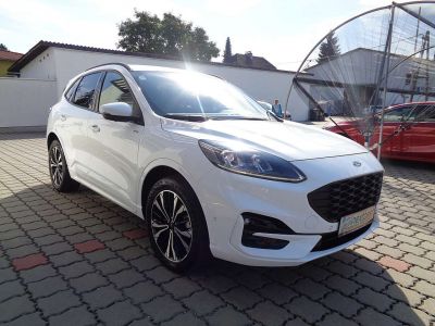 Ford Kuga Gebrauchtwagen