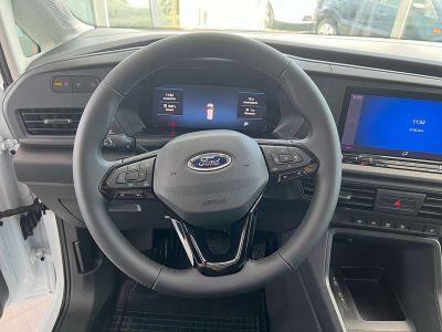 Ford Transit Tageszulassung