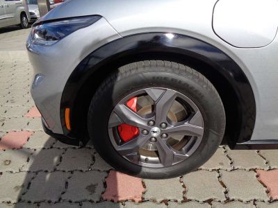 Ford Mustang Mach-E Gebrauchtwagen