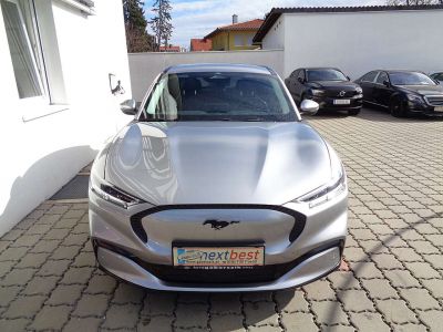 Ford Mustang Mach-E Gebrauchtwagen