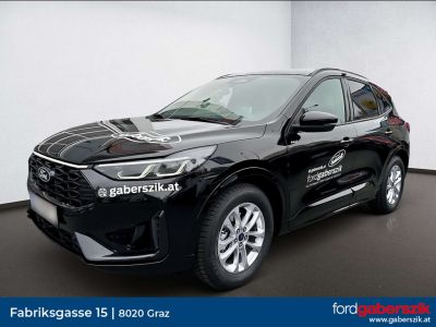 Ford Kuga Vorführwagen