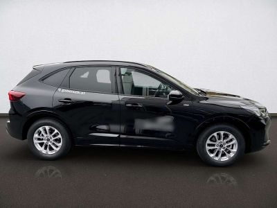 Ford Kuga Vorführwagen