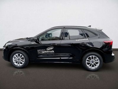 Ford Kuga Vorführwagen