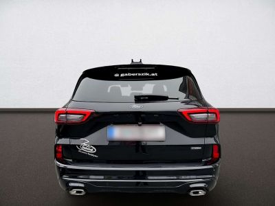 Ford Kuga Vorführwagen